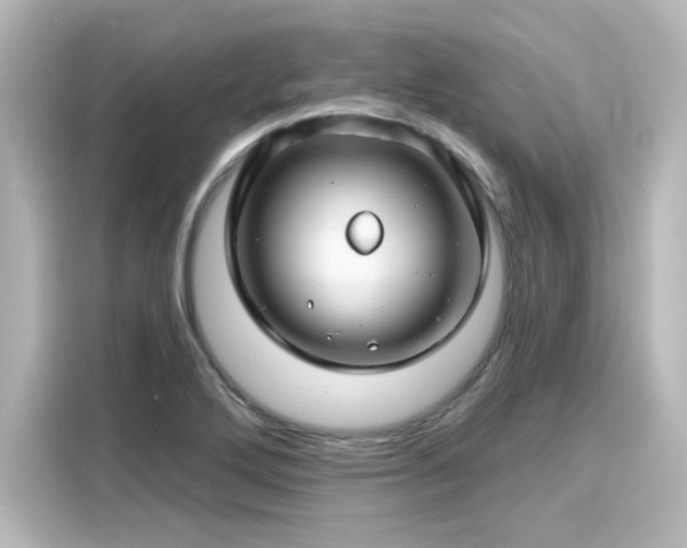 X0000116161272200911301554