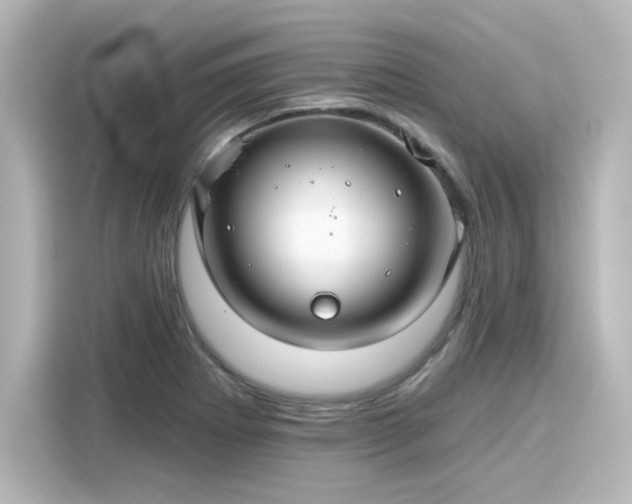 X0000116161273200911301554