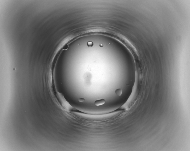 X0000116161274200911301554