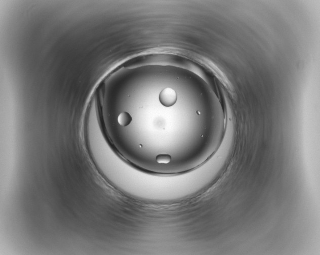 X0000116161276200911301554