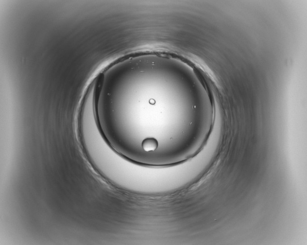 X0000116161277200911301554