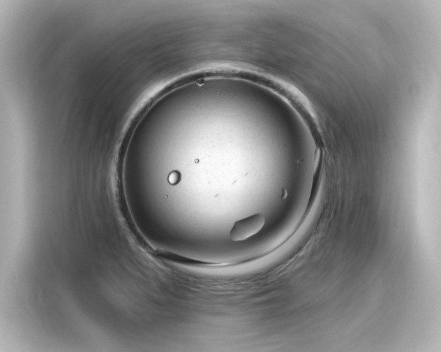 X0000116161279200911301554