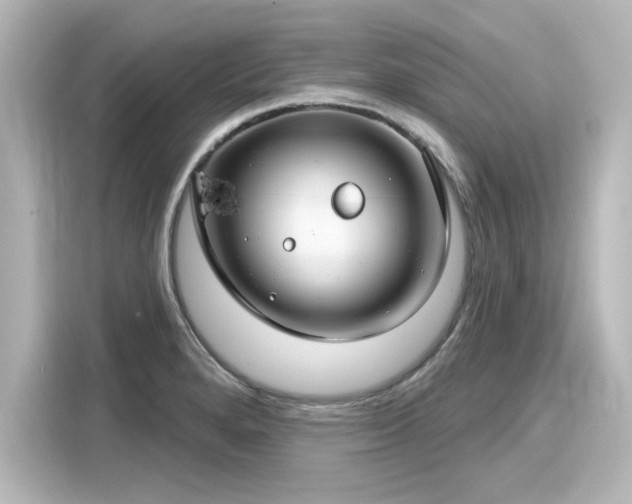 X0000116161280200911301554