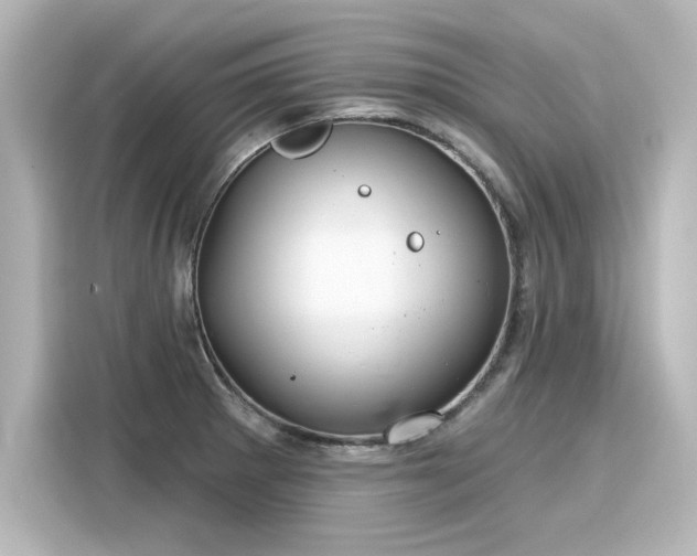 X0000116161281200911301554