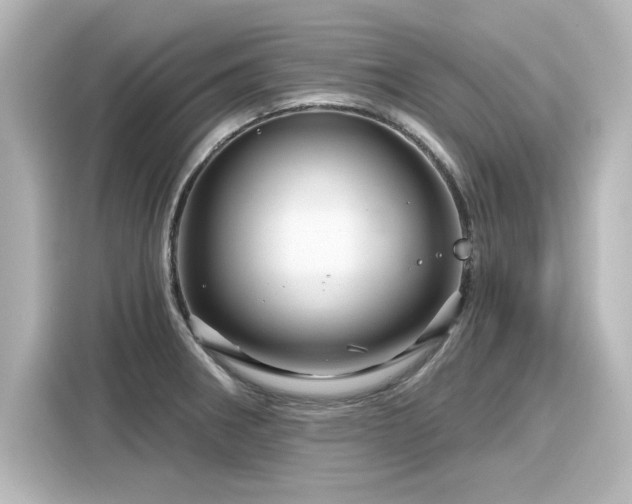 X0000116161282200911301554