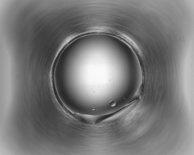 X0000116161283200911301554