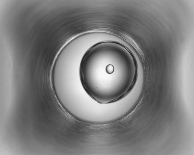 X0000116161284200911301554