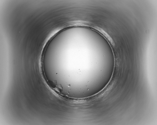 X0000116161285200911301554