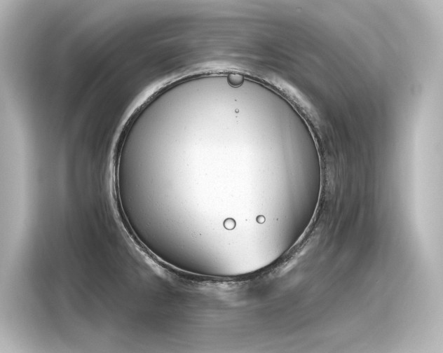 X0000116161286200911301553