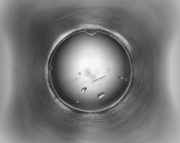 X0000116161287200911301553