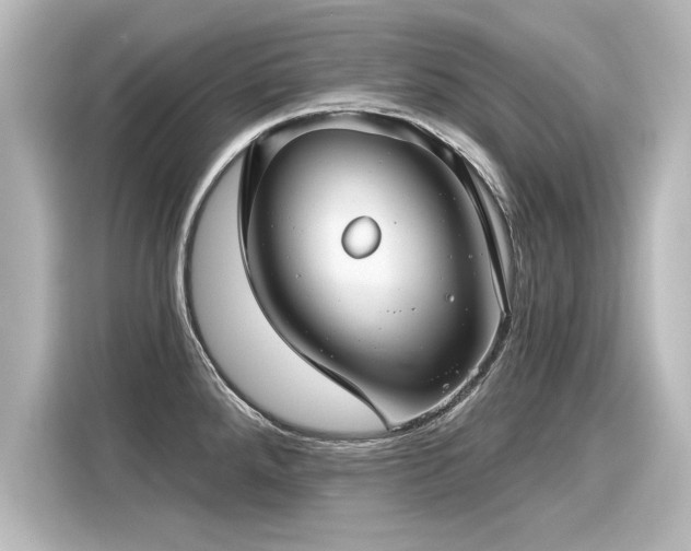 X0000116161288200911301553