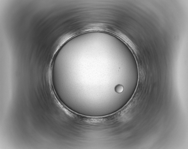 X0000116161290200911301553