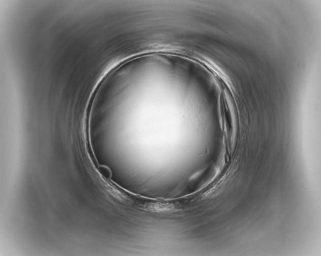 X0000116161291200911301553