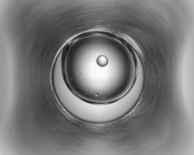 X0000116161292200911301553