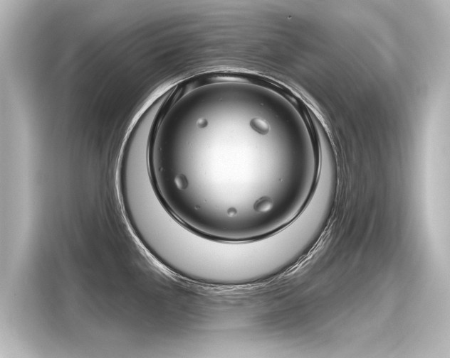 X0000116161293200911301553