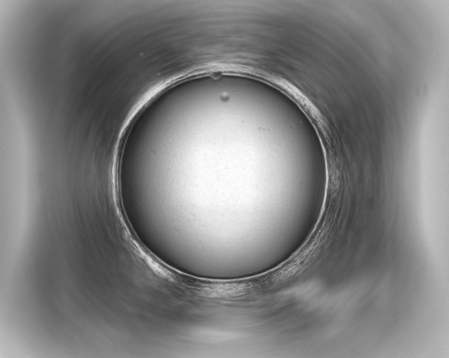 X0000116161294200911301553