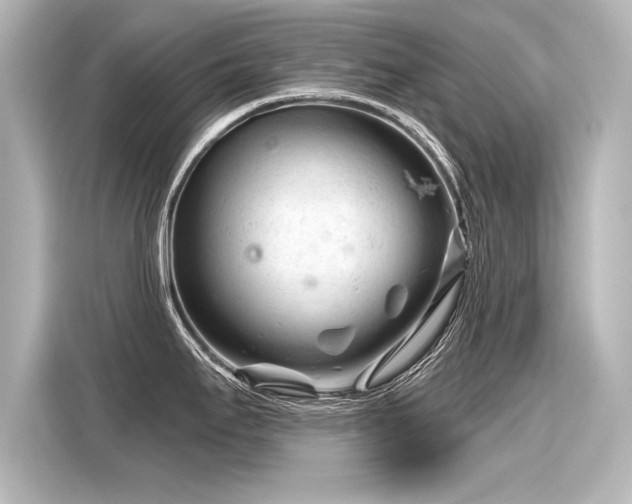 X0000116161295200911301553