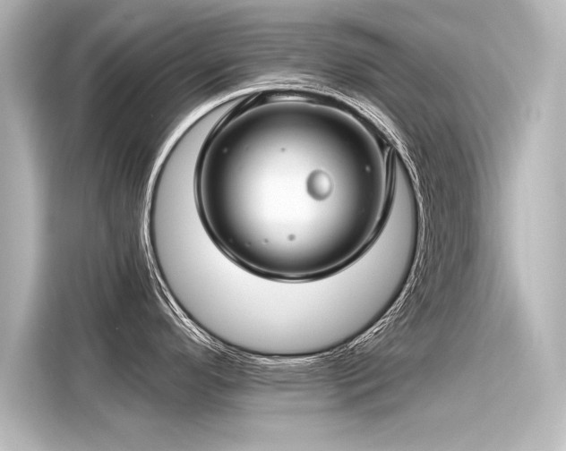 X0000116161296200911301553