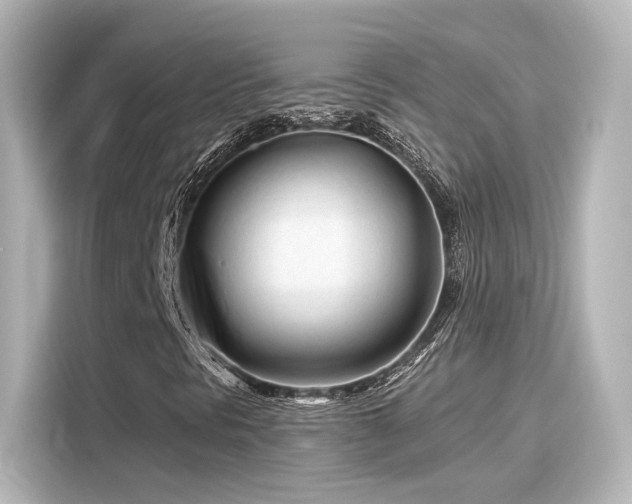 X0000116161297200911301553