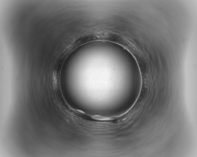 X0000116161298200911301553