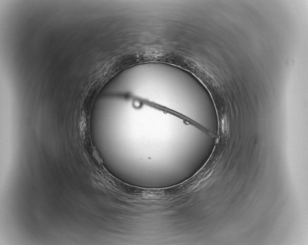 X0000116161299200911301553