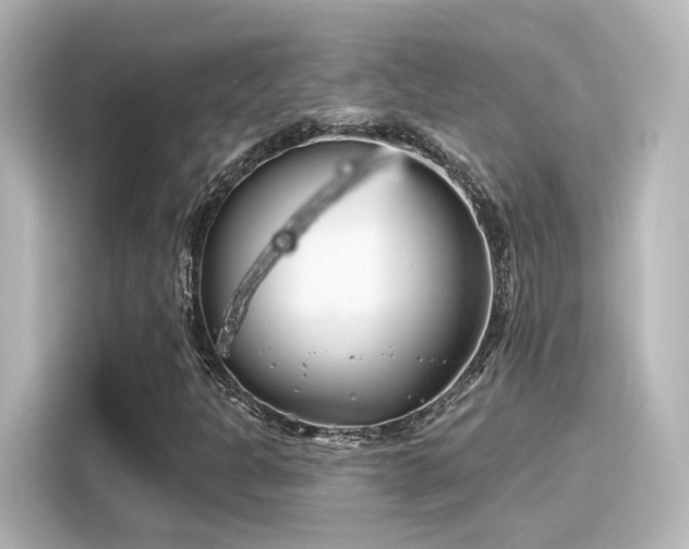 X0000116161301200911301553