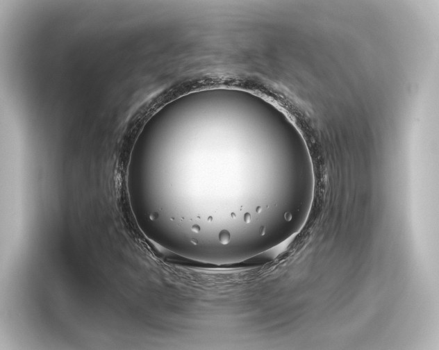 X0000116161302200911301553