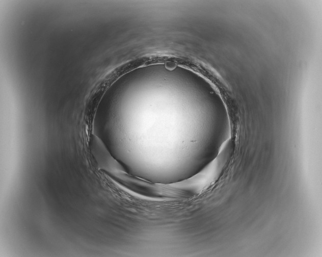 X0000116161303200911301553