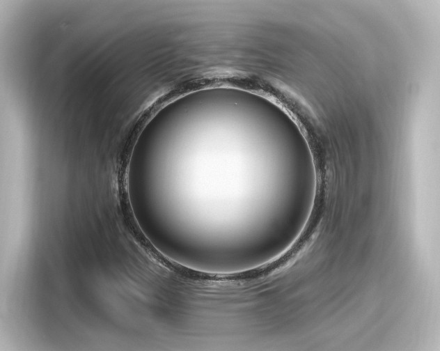 X0000116161305200911301553