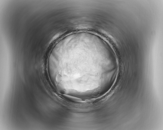 X0000116161306200911301553