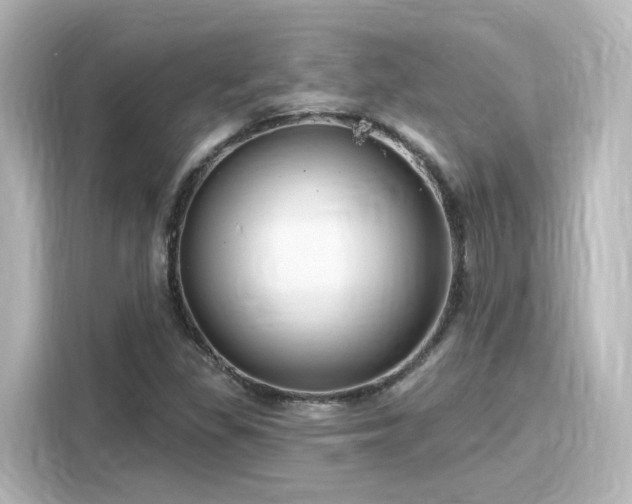 X0000116161309200911301553