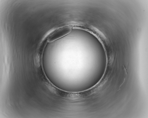 X0000116161310200911301553