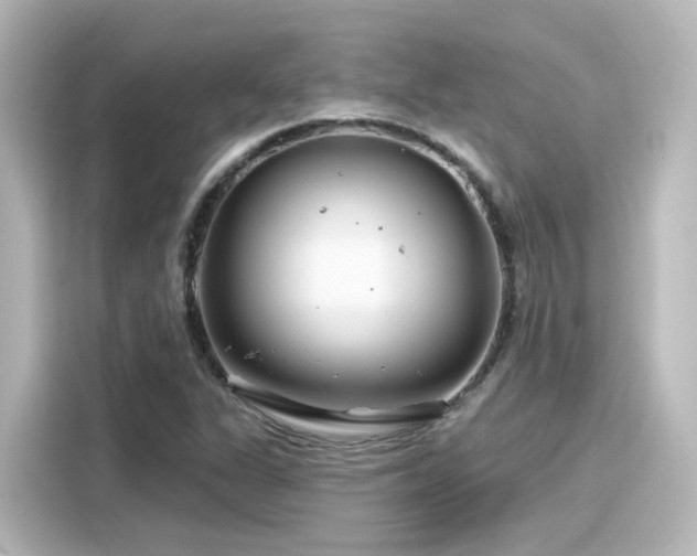 X0000116161311200911301553