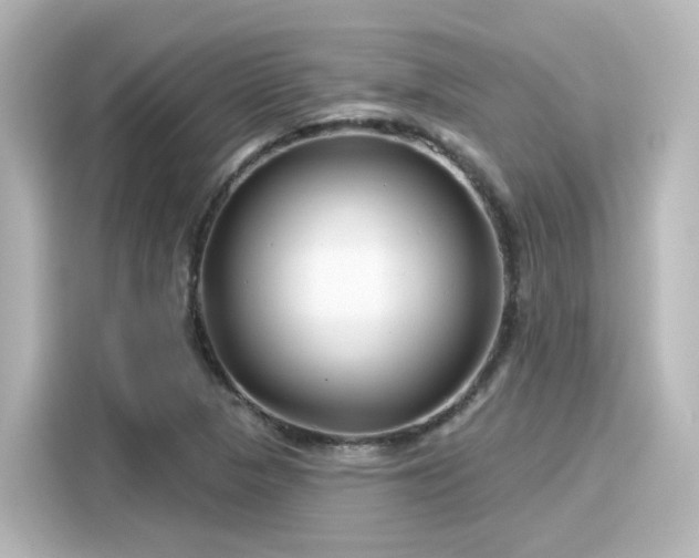 X0000116161313200911301553