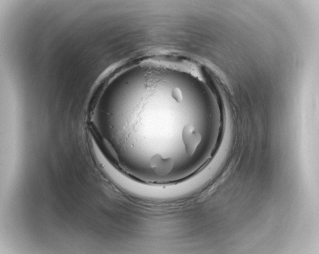 X0000116161314200911301553