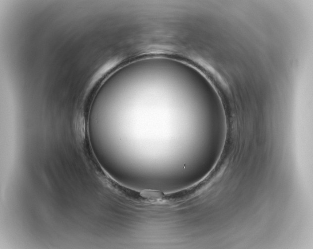 X0000116161317200911301553