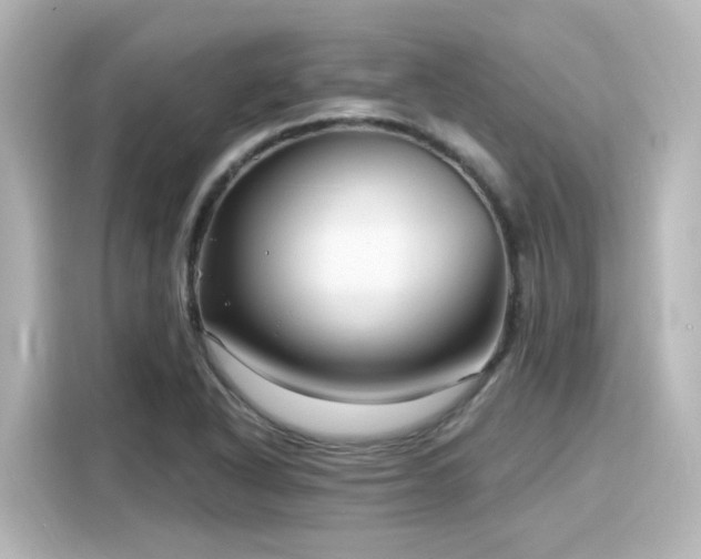 X0000116161318200911301553