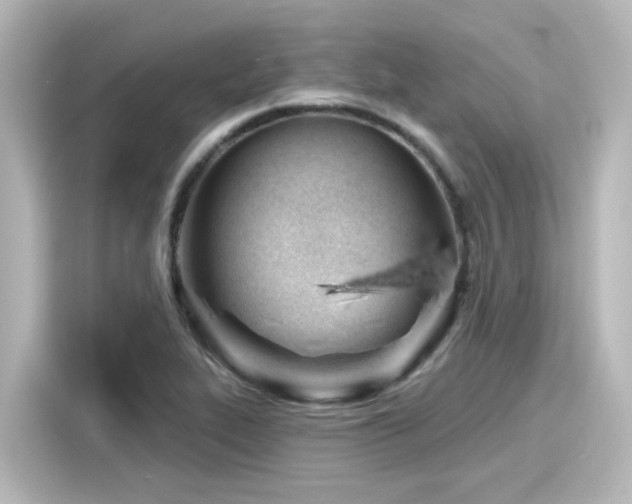 X0000116161319200911301553