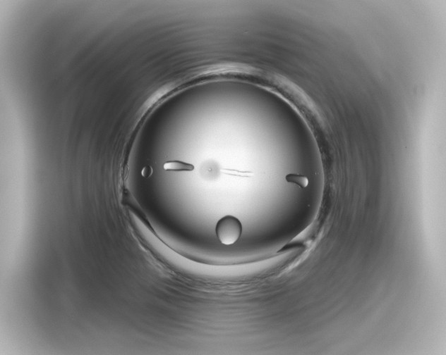 X0000116161321200911301553