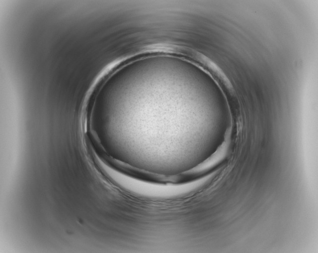 X0000116161323200911301553