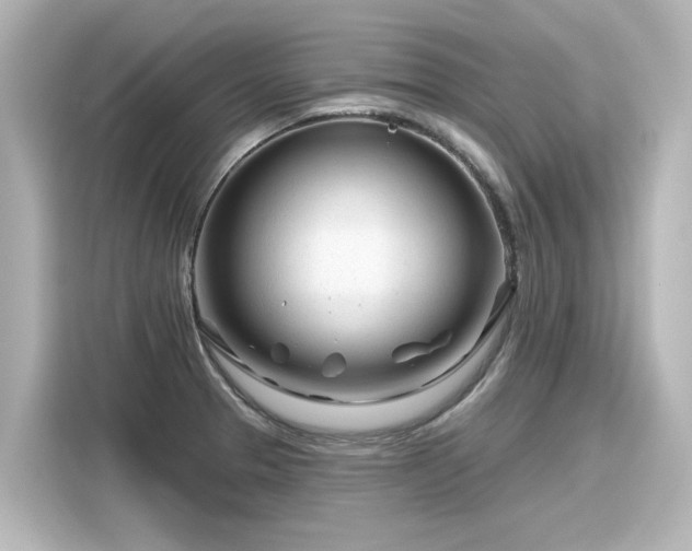 X0000116161329200911301553