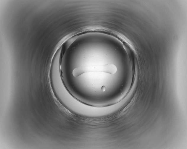 X0000116161330200911301553