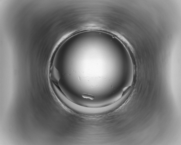 X0000116161333200911301553