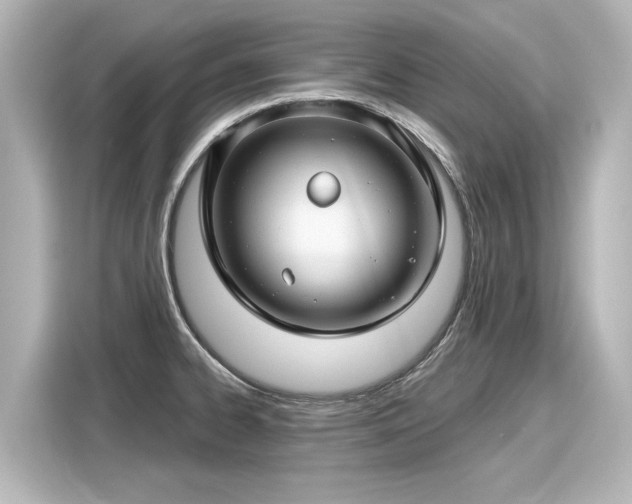 X0000116161334200911301553