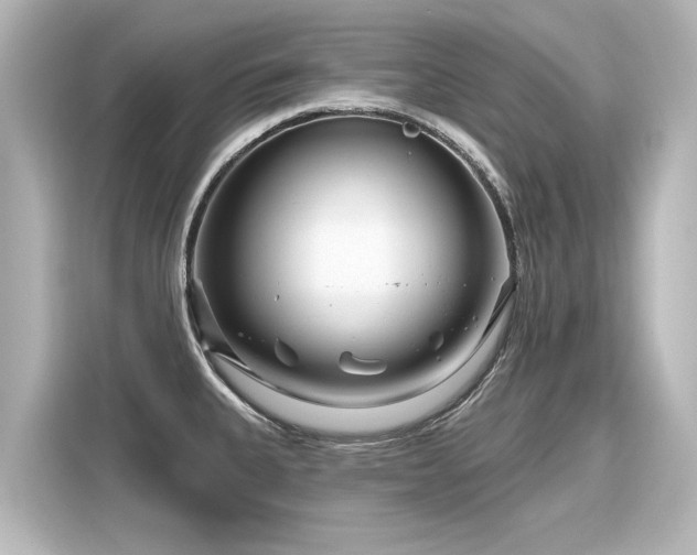 X0000116161335200911301553