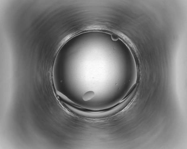 X0000116161337200911301553