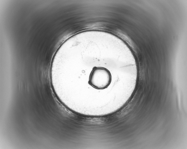 X0000116161338200911301553