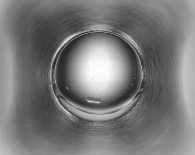 X0000116161339200911301553