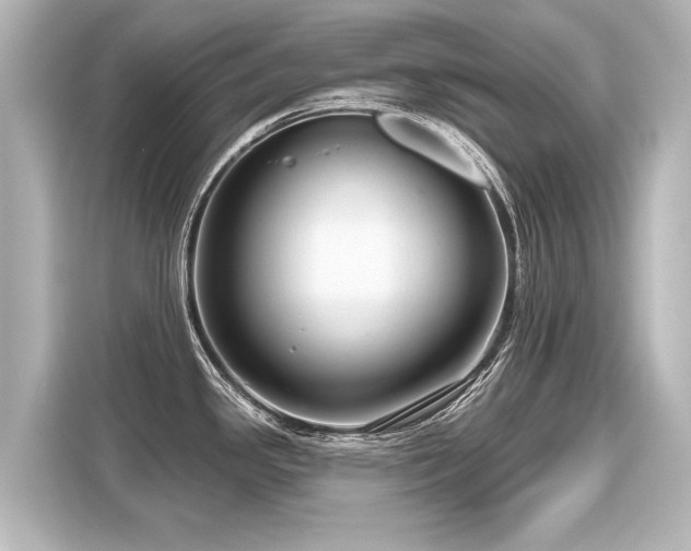 X0000116161341200911301553