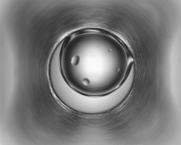 X0000116161342200911301553